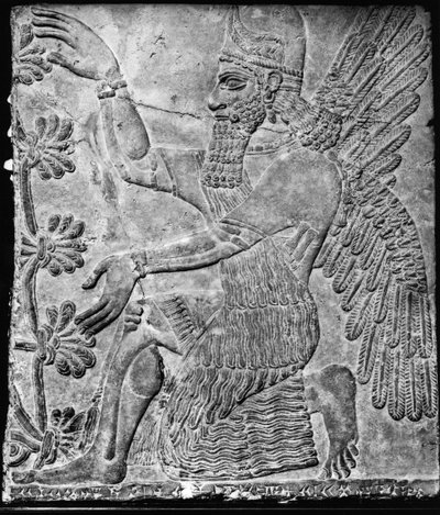 Gevleugelde genie die de heilige boom aanbidt, uit het paleis in Nimrud door Assyrian
